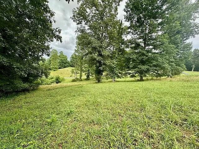 Lot 15 Pleasant Meadows, Blairsville GA 30512 - Primary photo