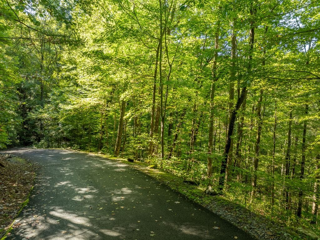 Lot 4 Wilderness Way, Ellijay GA 30536 - Photo