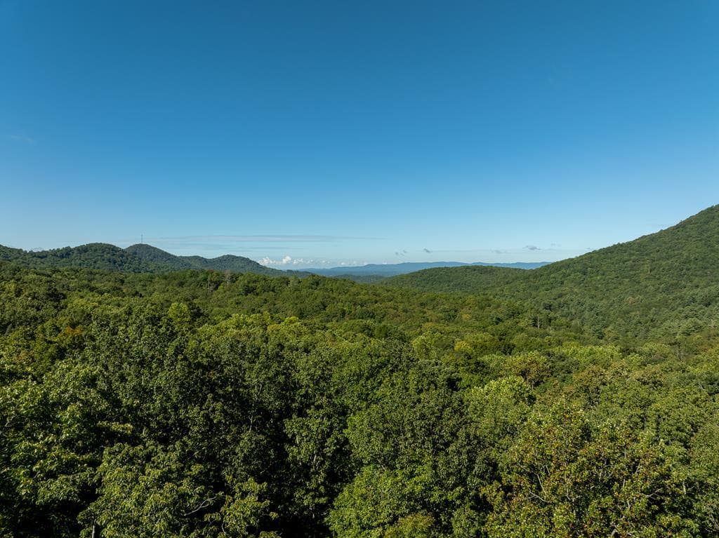 Lot 4 Wilderness Way, Ellijay GA 30536 - Photo