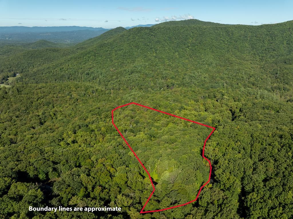 Lot 4 Wilderness Way, Ellijay GA 30536 - Photo