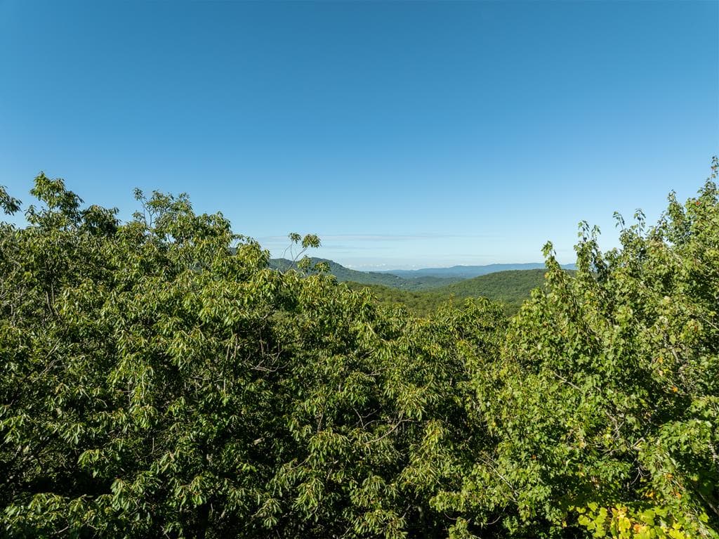 Lot 4 Wilderness Way, Ellijay GA 30536 - Photo