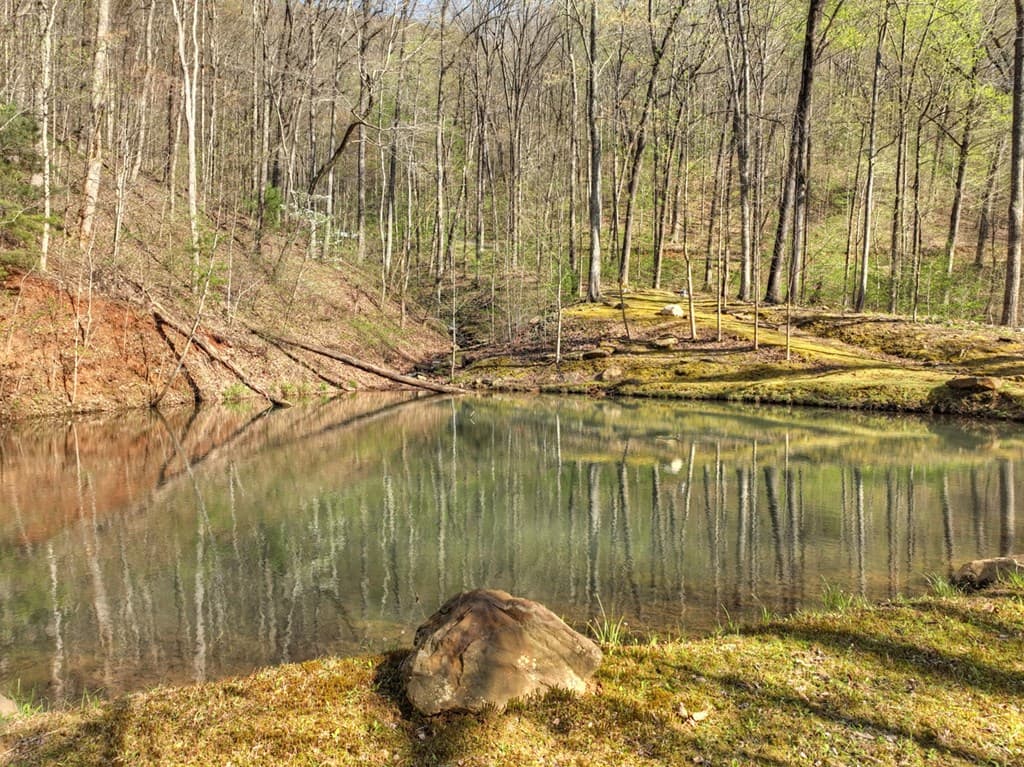 Lot 4 Wilderness Way, Ellijay GA 30536 - Photo