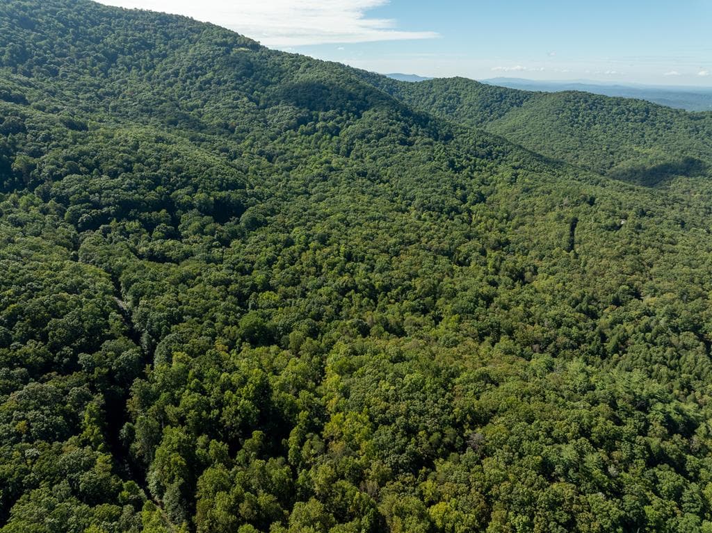 Lot 4 Wilderness Way, Ellijay GA 30536 - Photo