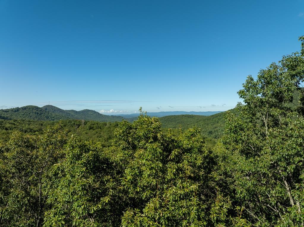 Lot 4 Wilderness Way, Ellijay GA 30536 - Primary photo