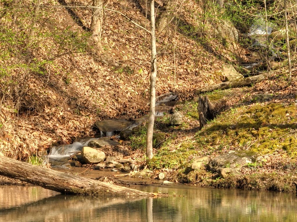 Lot 4 Wilderness Way, Ellijay GA 30536 - Photo