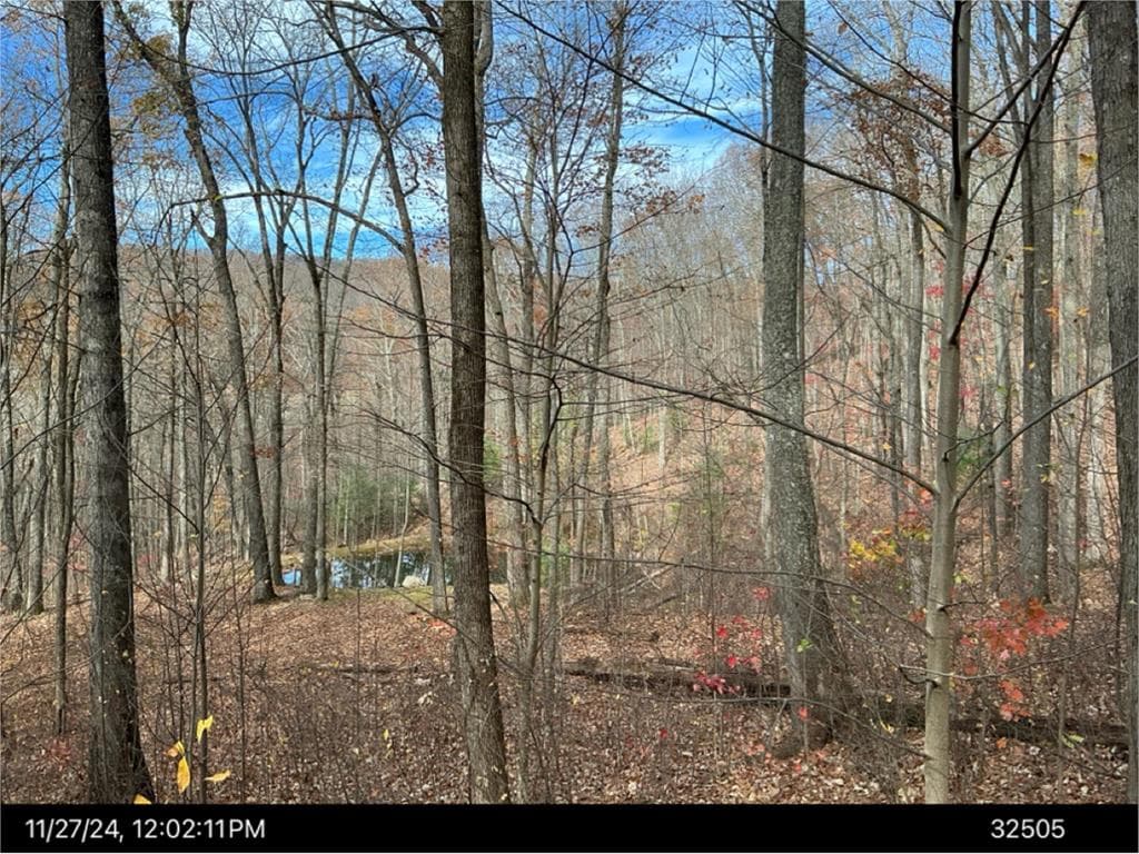 Lot 4 Wilderness Way, Ellijay GA 30536 - Photo