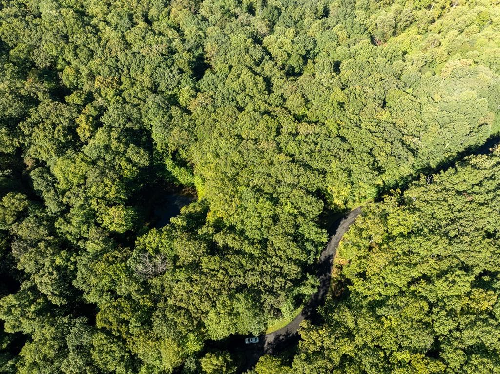 Lot 4 Wilderness Way, Ellijay GA 30536 - Photo