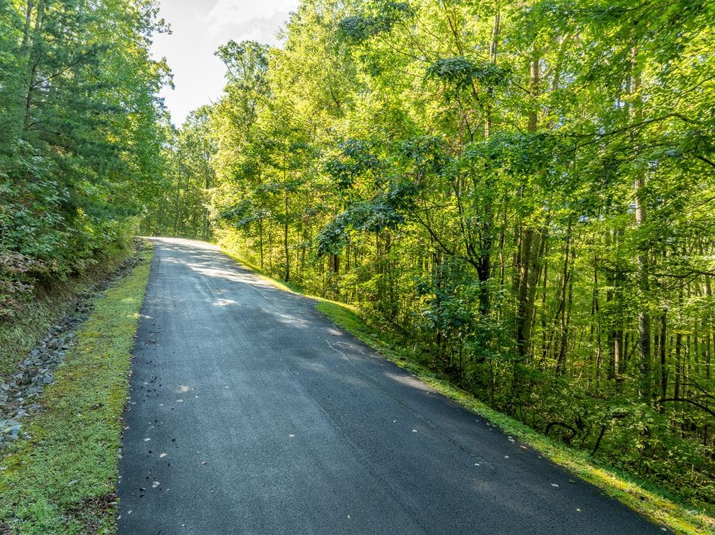 Lot 4 Wilderness Way, Ellijay GA 30536 - Photo
