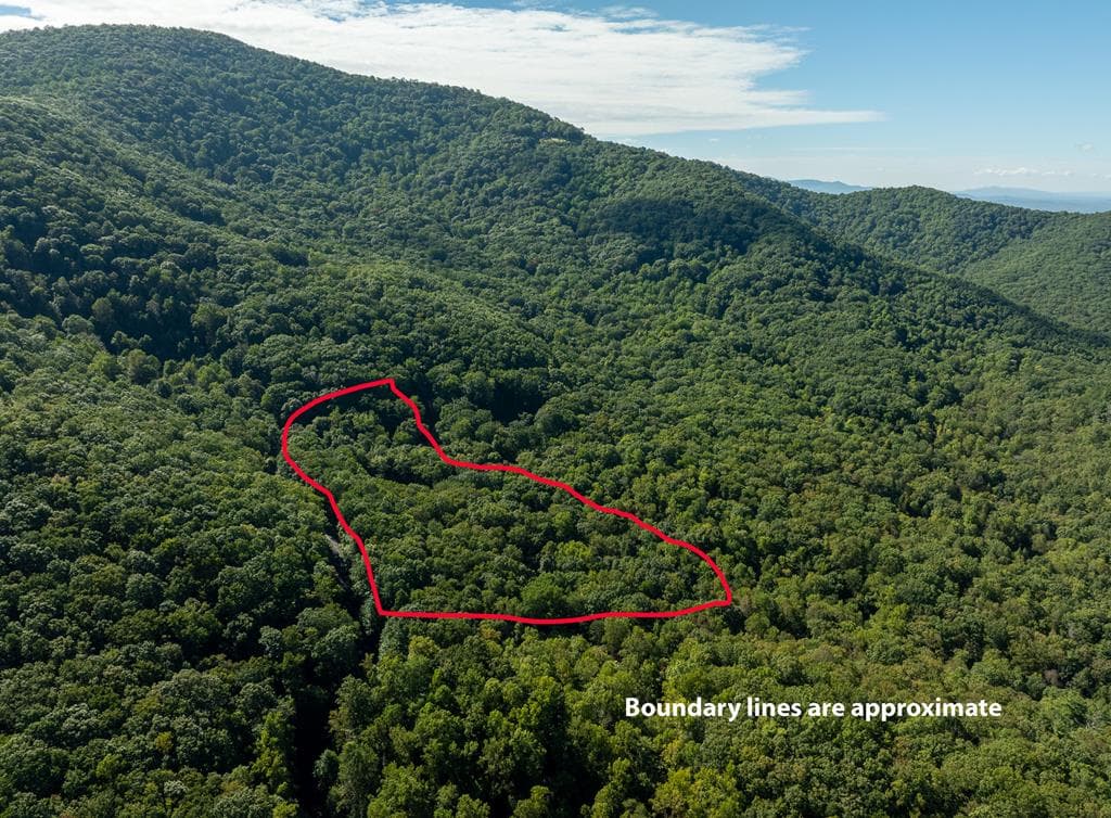 Lot 4 Wilderness Way, Ellijay GA 30536 - Photo