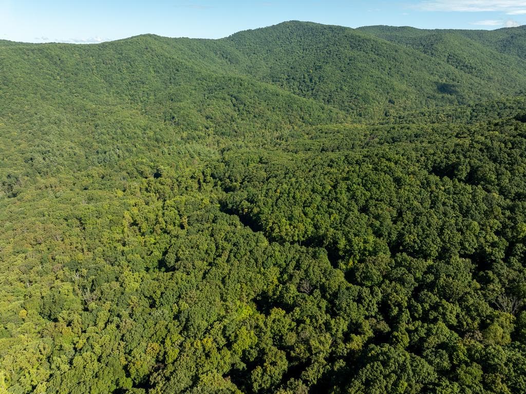 Lot 4 Wilderness Way, Ellijay GA 30536 - Photo