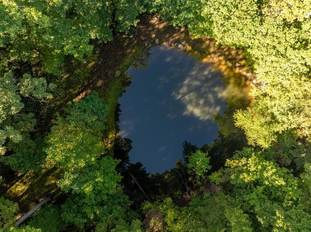Lot 4 Wilderness Way, Ellijay GA 30536 - Photo