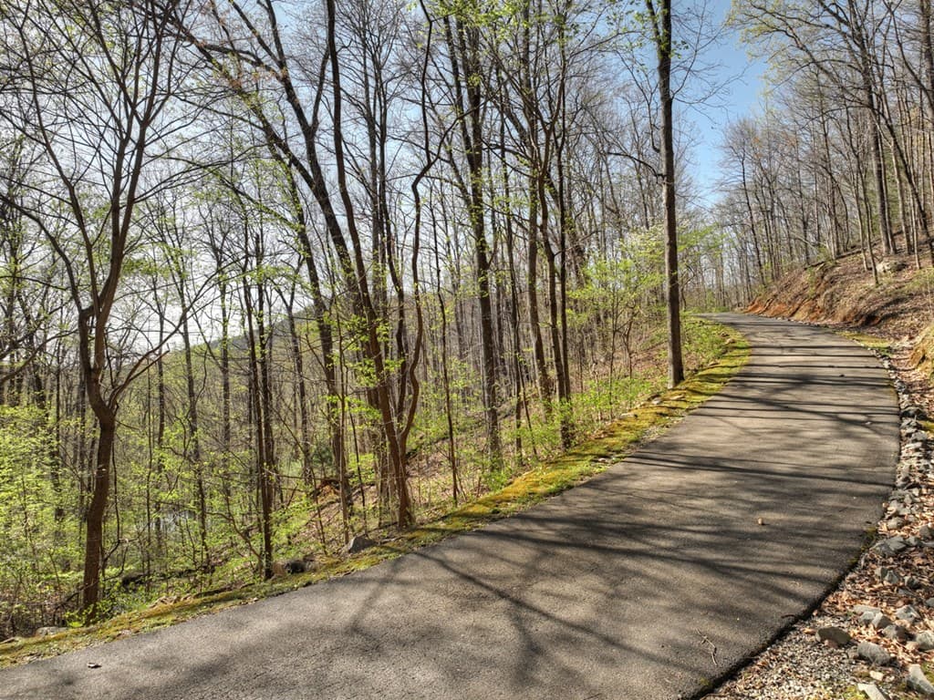 Lot 4 Wilderness Way, Ellijay GA 30536 - Photo