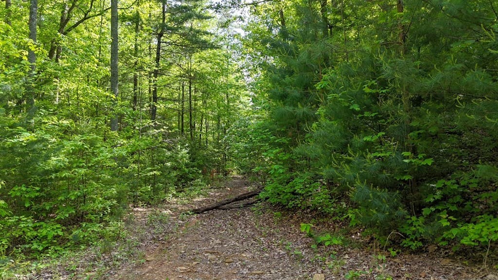 00 Hialeah Way, Murphy NC 28906 - Photo