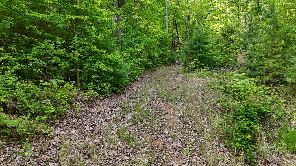 00 Hialeah Way, Murphy NC 28906 - Photo