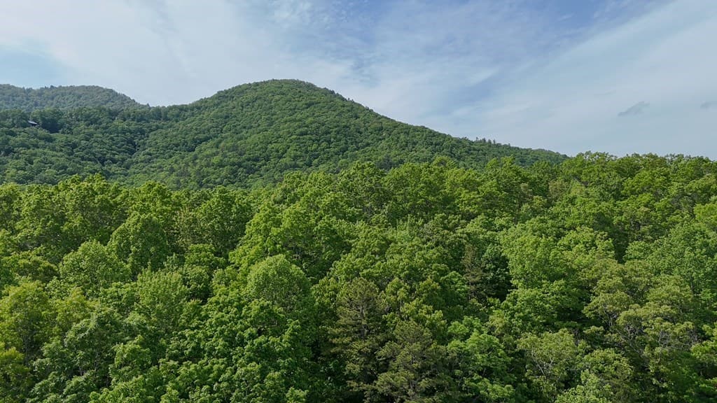 00 Hialeah Way, Murphy NC 28906 - Photo