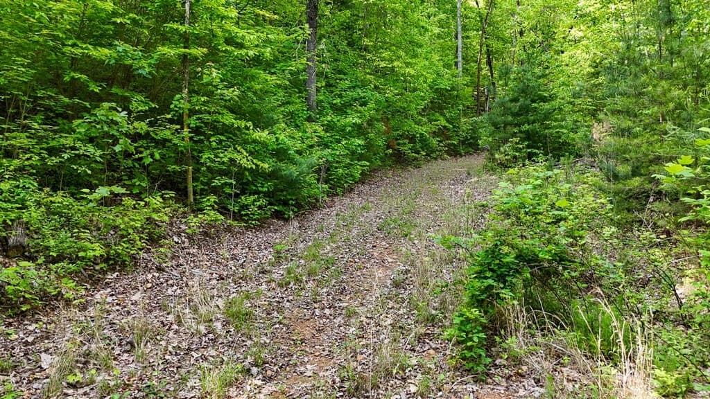 00 Hialeah Way, Murphy NC 28906 - Photo