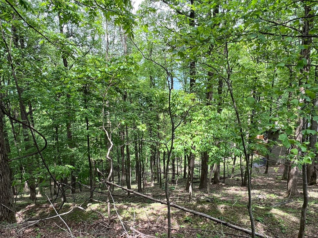M163 Walnut Ridge, Ellijay GA 30336 - Photo