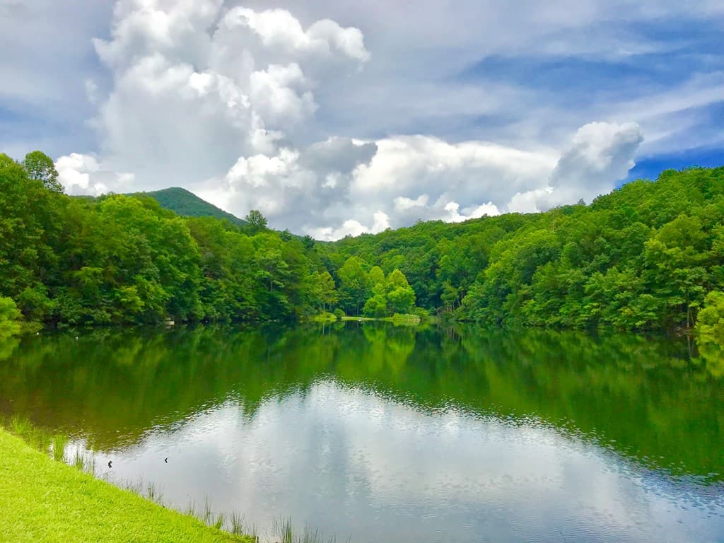 M163 Walnut Ridge, Ellijay GA 30336 - Photo