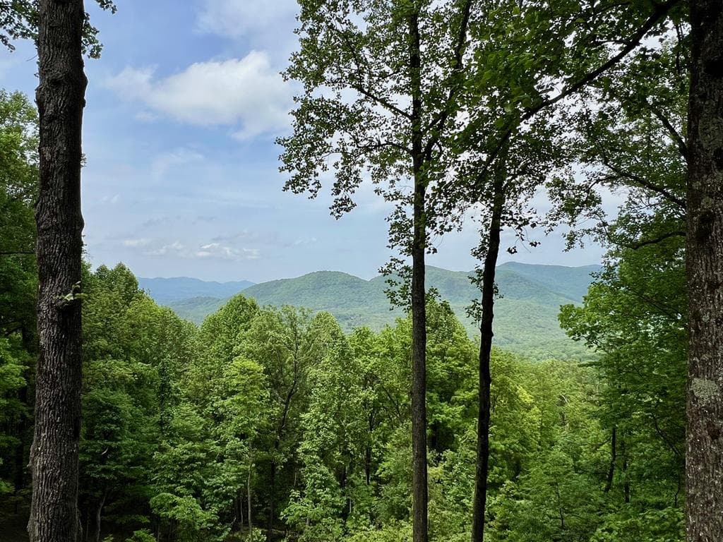 M163 Walnut Ridge, Ellijay GA 30336 - Primary photo