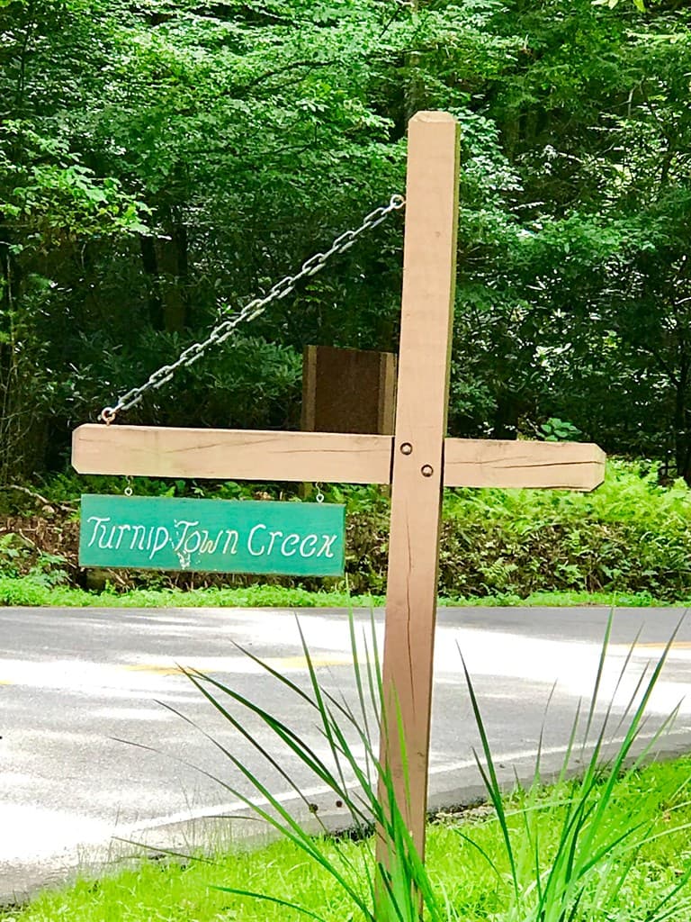 M163 Walnut Ridge, Ellijay GA 30336 - Photo