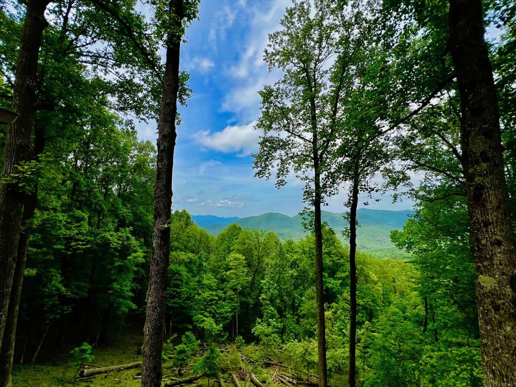 M164 Walnut Ridge, Ellijay GA 30336 - Photo