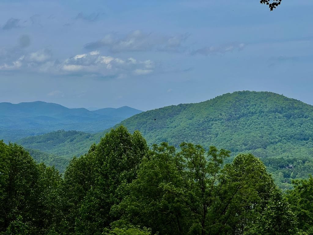 M164 Walnut Ridge, Ellijay GA 30336 - Primary photo