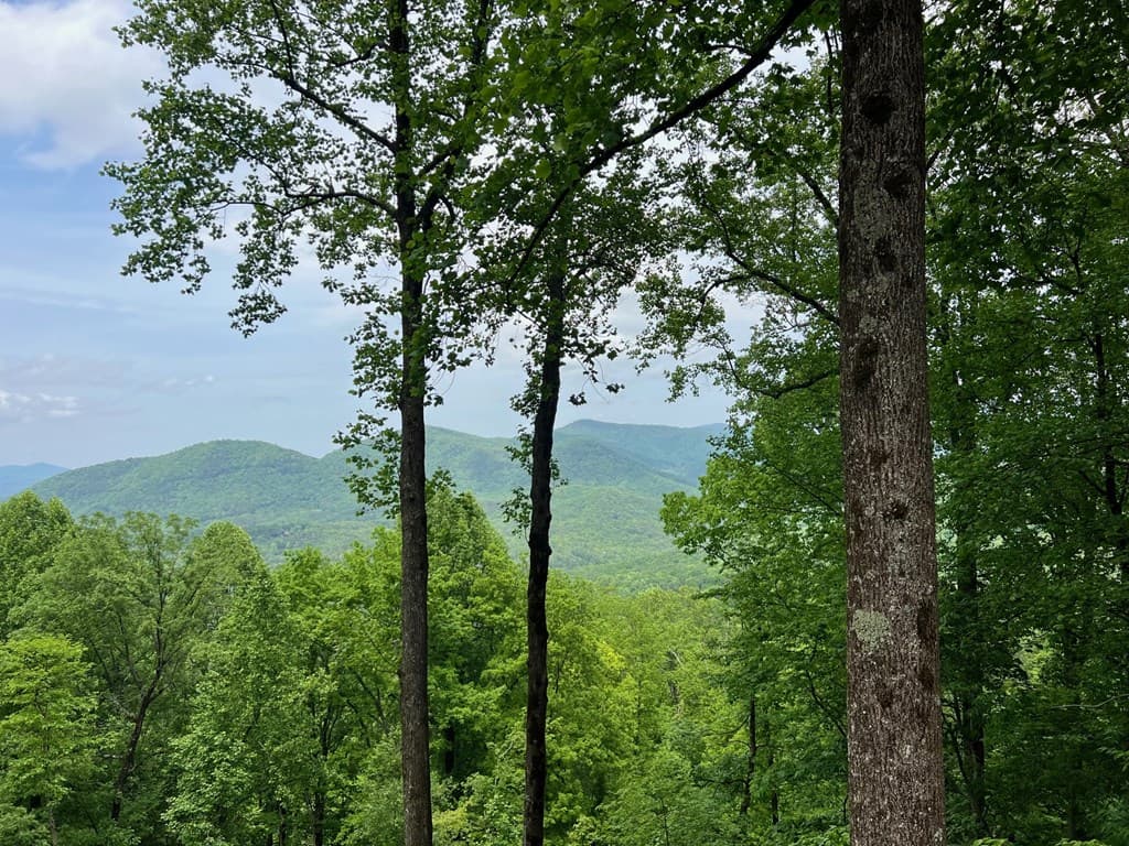 M164 Walnut Ridge, Ellijay GA 30336 - Photo