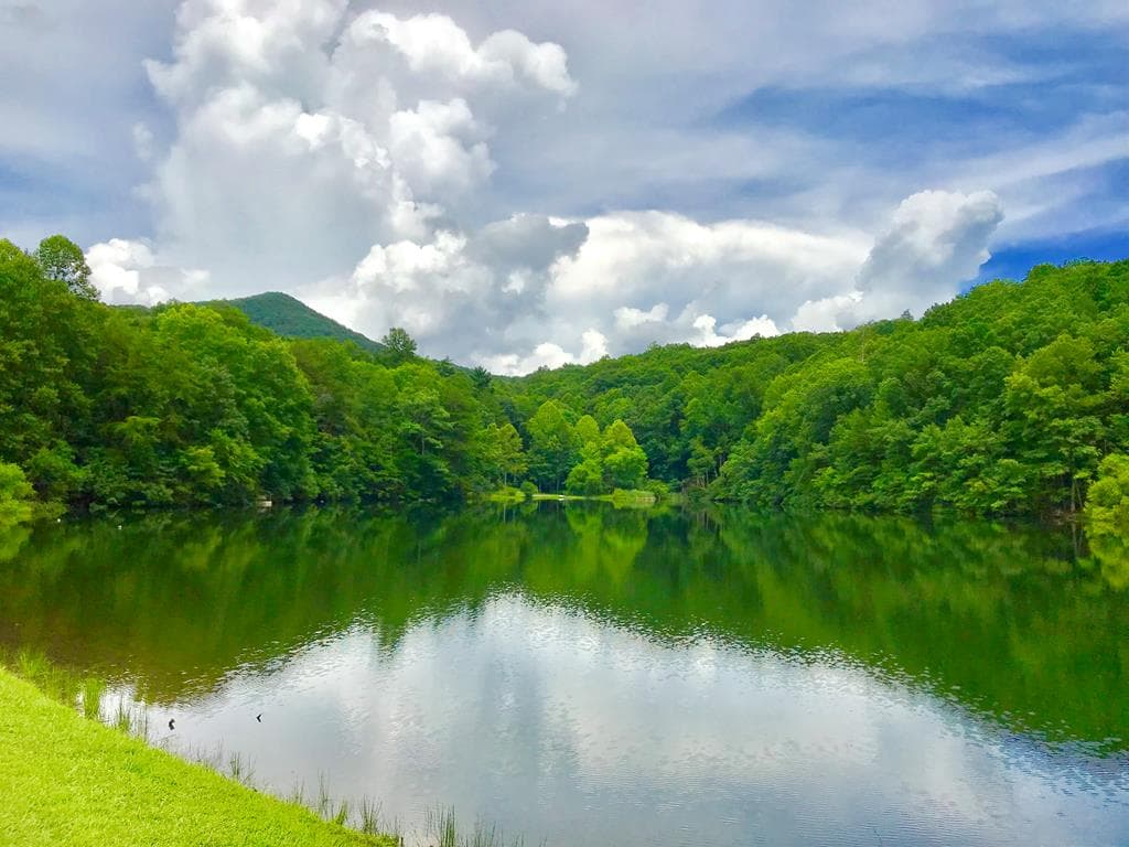 M164 Walnut Ridge, Ellijay GA 30336 - Photo