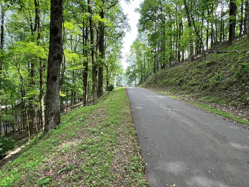 M164 Walnut Ridge, Ellijay GA 30336 - Photo