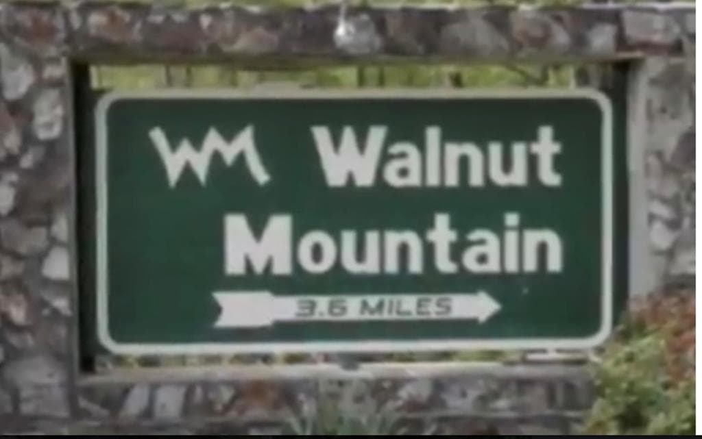 M164 Walnut Ridge, Ellijay GA 30336 - Photo