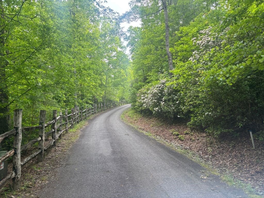 LOT 14 Whisper Woods Estates, Hiawassee GA 30546 - Photo