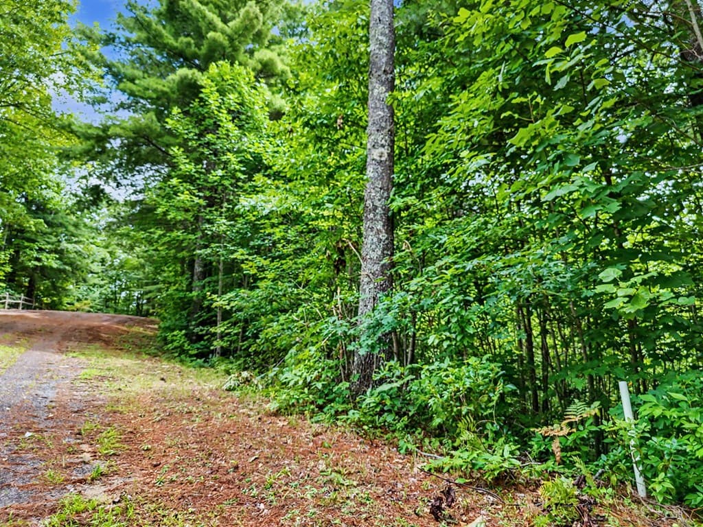 LOT 14 Whisper Woods Estates, Hiawassee GA 30546 - Photo