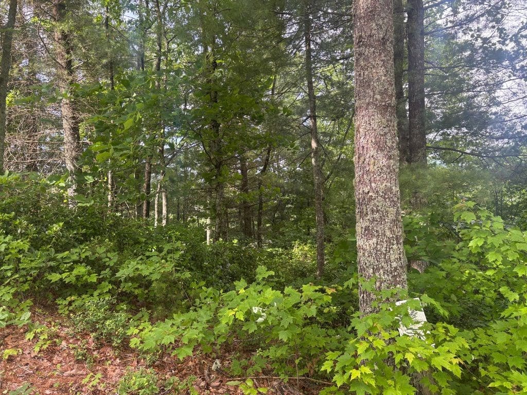 LOT 14 Whisper Woods Estates, Hiawassee GA 30546 - Photo