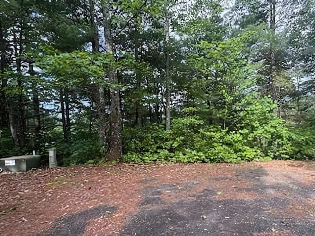 LOT 14 Whisper Woods Estates, Hiawassee GA 30546 - Photo