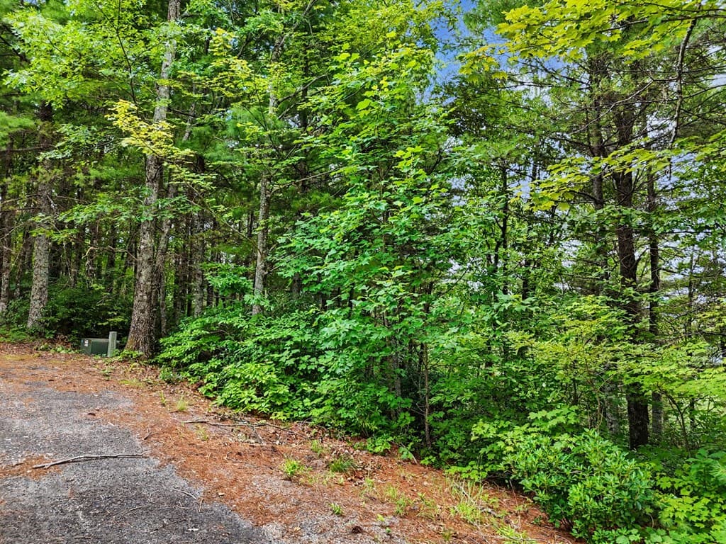 LOT 14 Whisper Woods Estates, Hiawassee GA 30546 - Photo