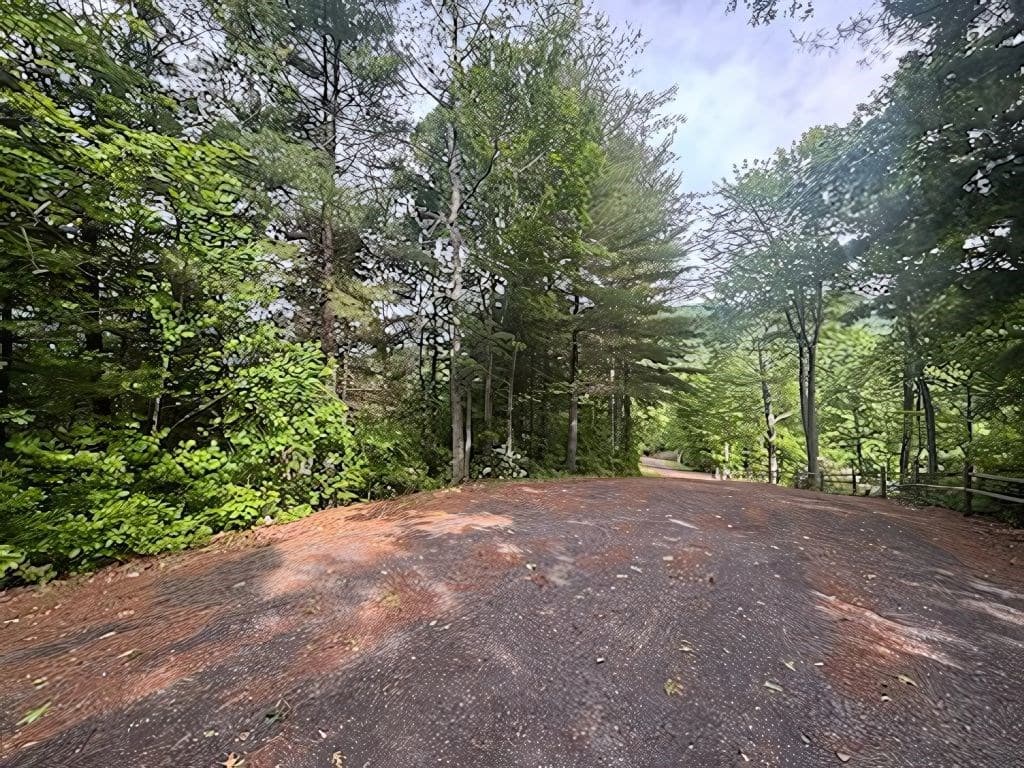 LOT 14 Whisper Woods Estates, Hiawassee GA 30546 - Photo