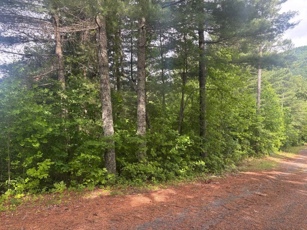 LOT 14 Whisper Woods Estates, Hiawassee GA 30546 - Photo