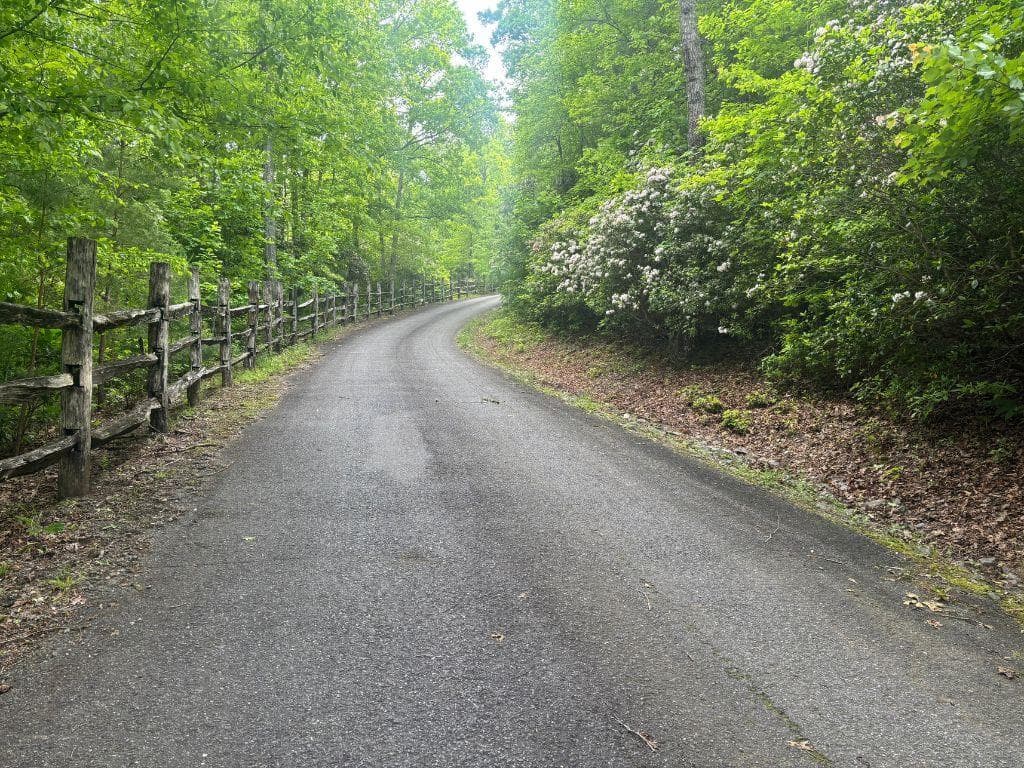 LOT 14 Whisper Woods Estates, Hiawassee GA 30546 - Photo