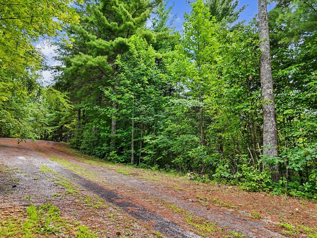 LOT 14 Whisper Woods Estates, Hiawassee GA 30546 - Photo
