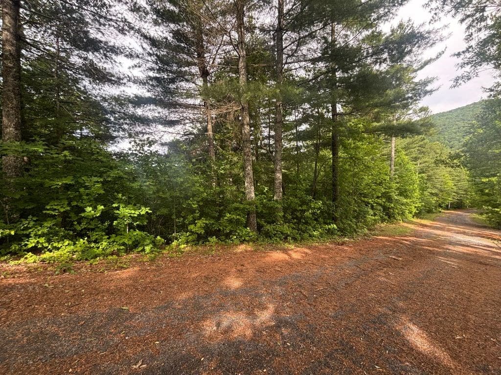 LOT 14 Whisper Woods Estates, Hiawassee GA 30546 - Photo