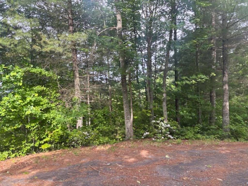 LOT 14 Whisper Woods Estates, Hiawassee GA 30546 - Photo