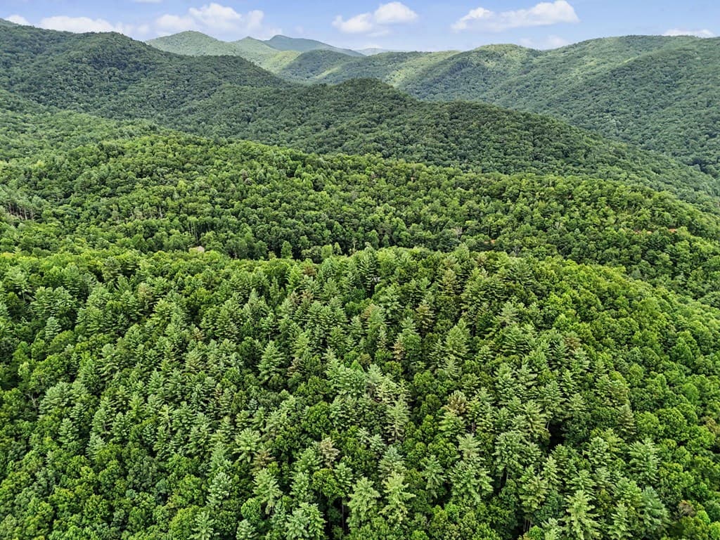 LOT 14 Whisper Woods Estates, Hiawassee GA 30546 - Photo