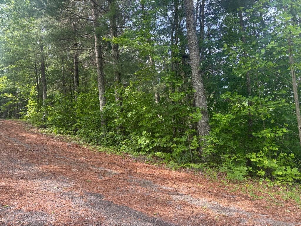 LOT 14 Whisper Woods Estates, Hiawassee GA 30546 - Photo