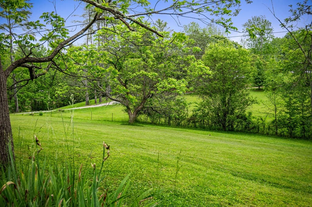 16 Hollow Springs Road, Blue Ridge GA 30513 - Photo