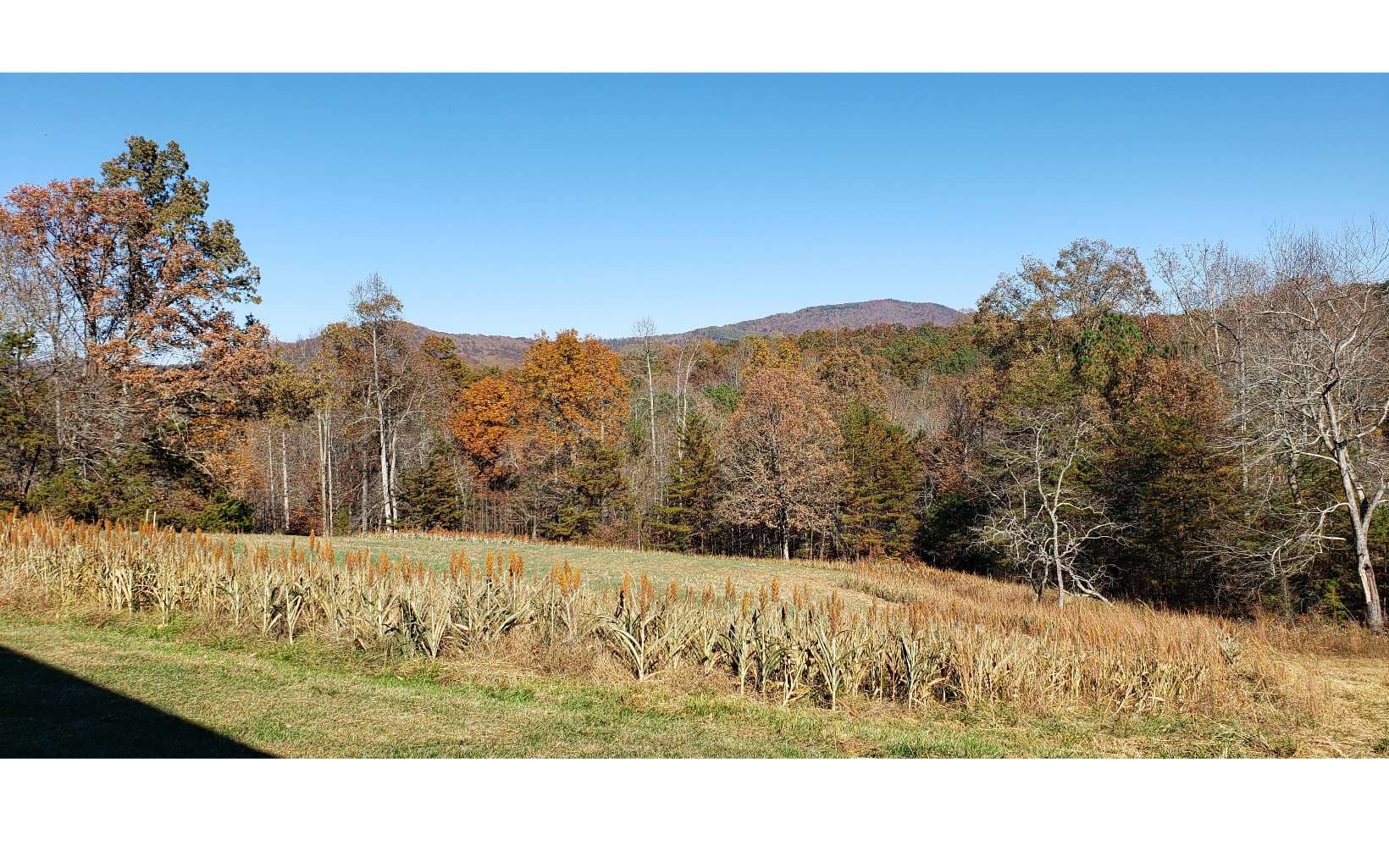451 Cobb Mountain Drive, Blairsville GA 30512 - Photo