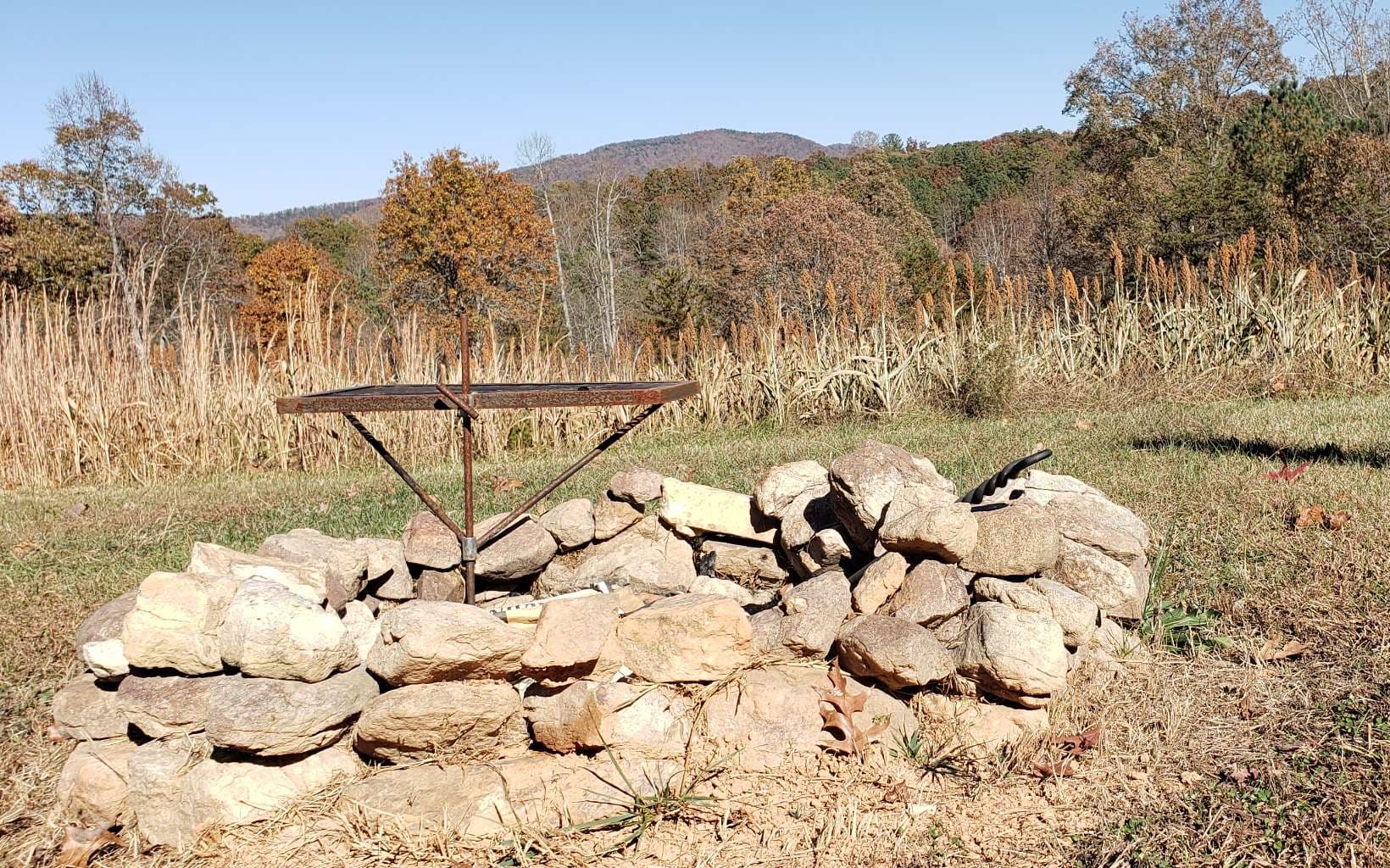 451 Cobb Mountain Drive, Blairsville GA 30512 - Photo