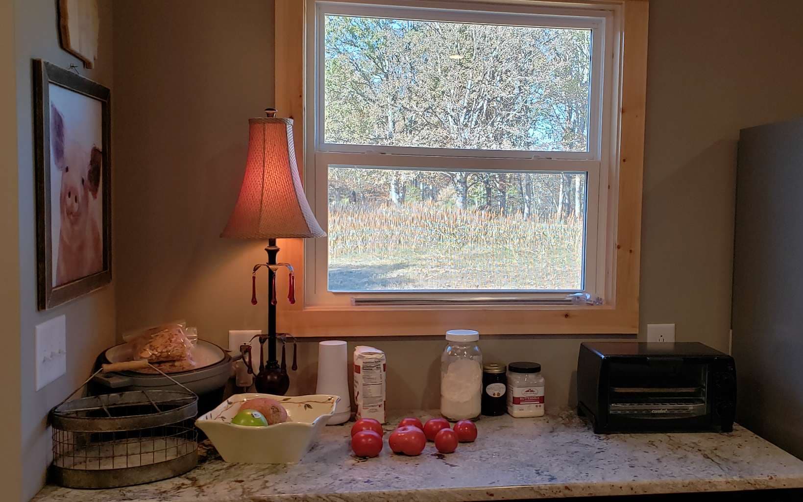 451 Cobb Mountain Drive, Blairsville GA 30512 - Photo