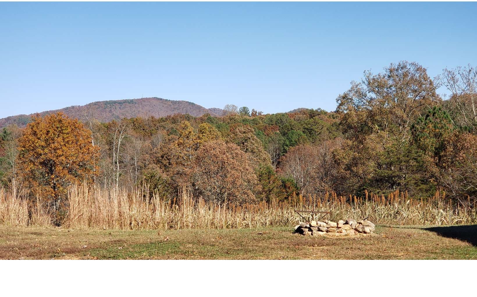 451 Cobb Mountain Drive, Blairsville GA 30512 - Photo