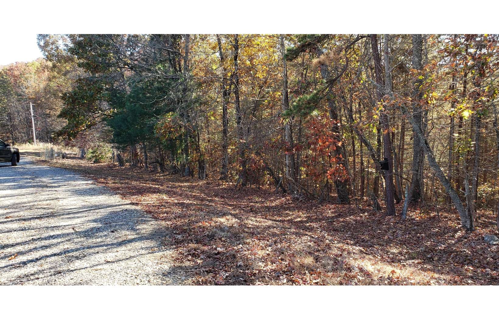 451 Cobb Mountain Drive, Blairsville GA 30512 - Photo