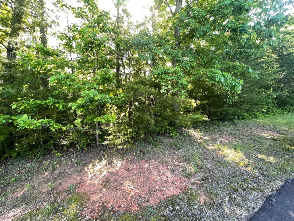 Lot 20 Big Cove Drive, Hiawassee GA 30546 - Photo